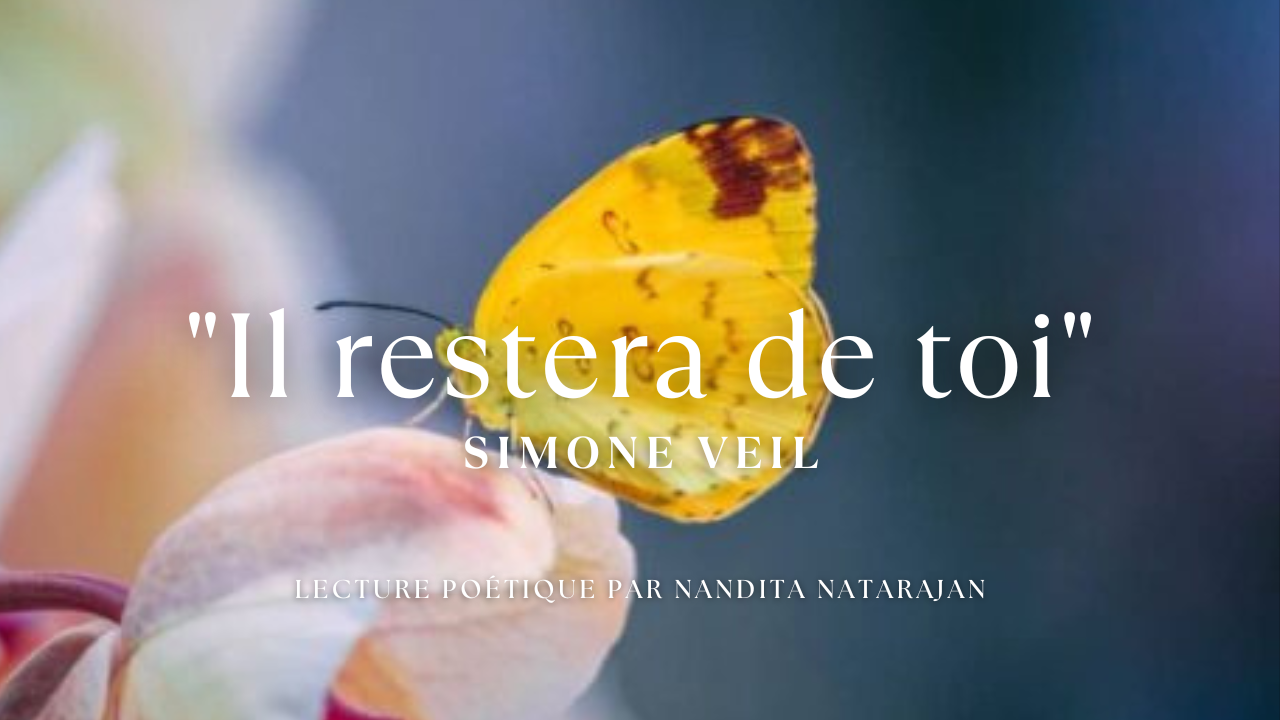 NanditaNatarajan.com | The Official Website of Nandita Natarajan